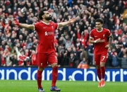 开云体育APP下载-包含布莱顿继续保持不败，豪取分升至积分榜前列的词条