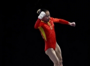 开云体育官方网站-体操冠军收获金牌，铁杆粉丝为之欢呼的简单介绍