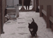 开云下载-东决关键战焦点战，埃及斩落雷恩，一场跨越时空的竞技想象