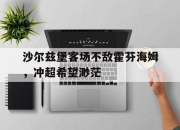 开云体育-沙尔兹堡客场不敌霍芬海姆，冲超希望渺茫的简单介绍