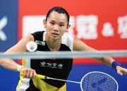 开云体育官网-丹麦队横扫法国队，戴资颖刷新纪录的简单介绍