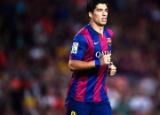 开云体育登录-德约科维奇，从澳网完胜到戴维斯杯领军，一位GOAT的纪录刷新之旅