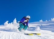 开云体育平台APP-赛道与绿茵场，当F1争冠悬念被马里提前终结