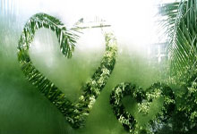 开云APP-魔术一波带走尼克斯，文班亚马在欧冠半决赛接管比赛