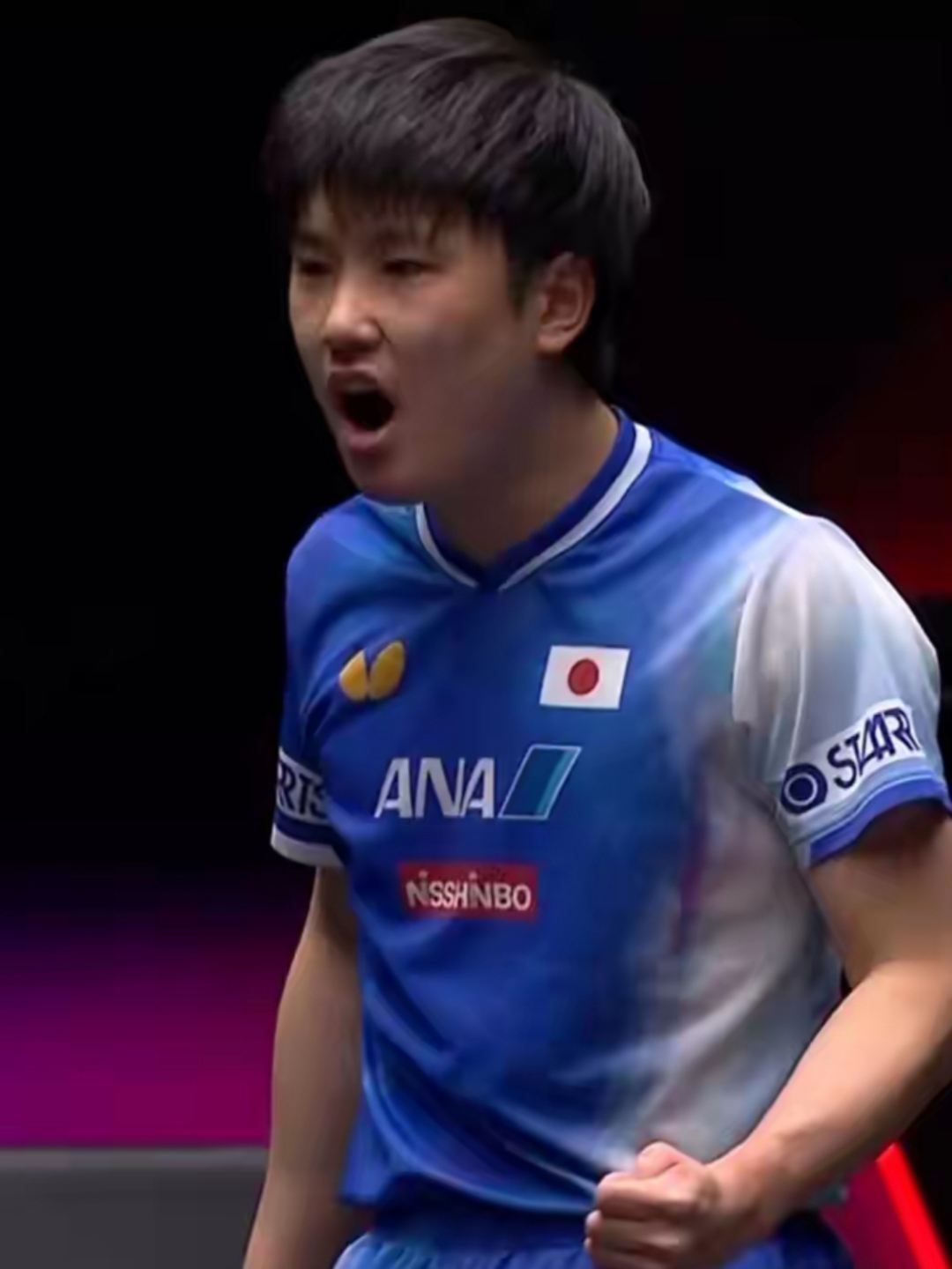 包含法国乒乓球队完胜波兰乒乓球队，张本智和送出助攻的词条