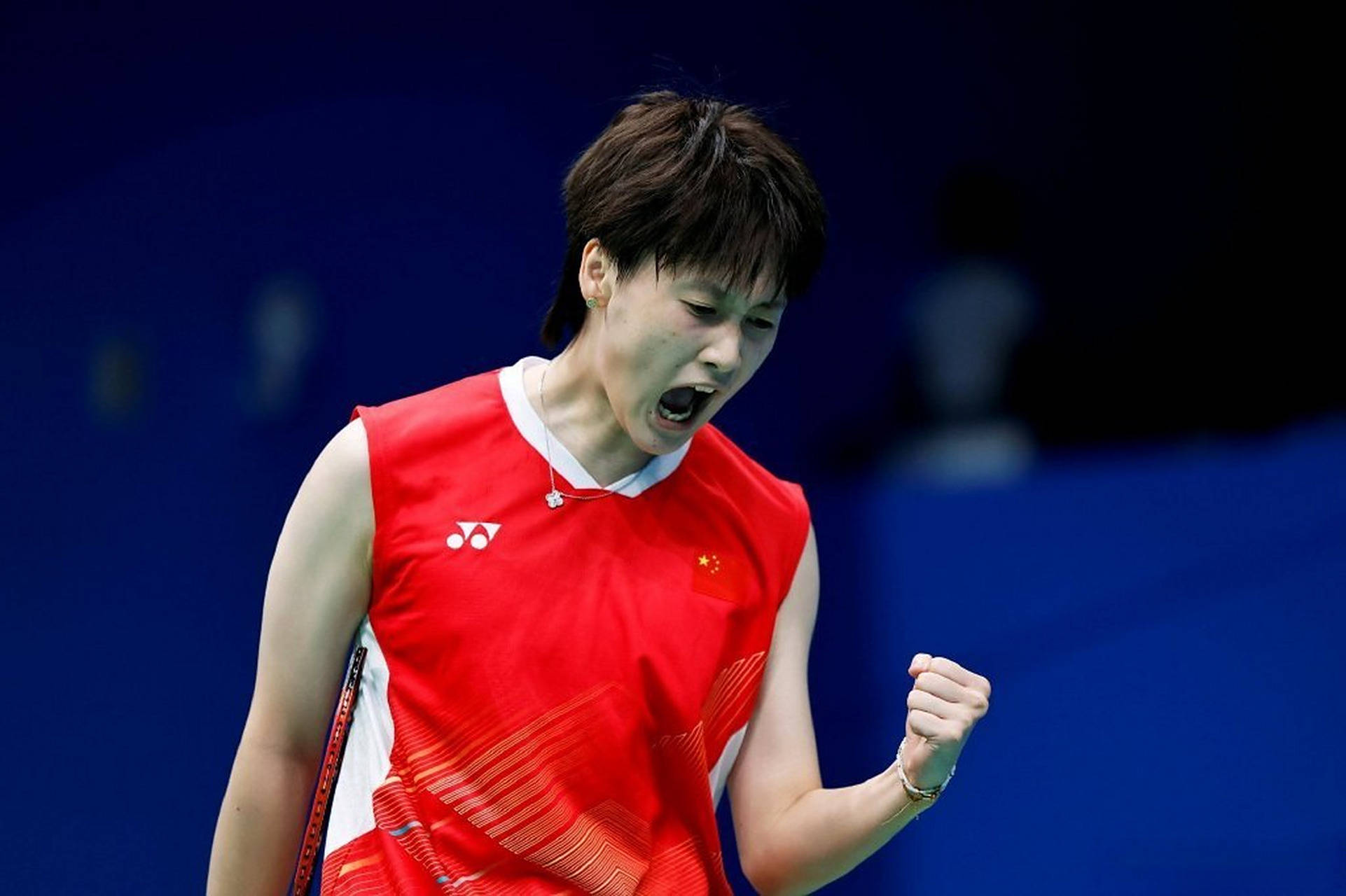 马来西亚队轻取法国队，陈雨菲关键制胜的简单介绍