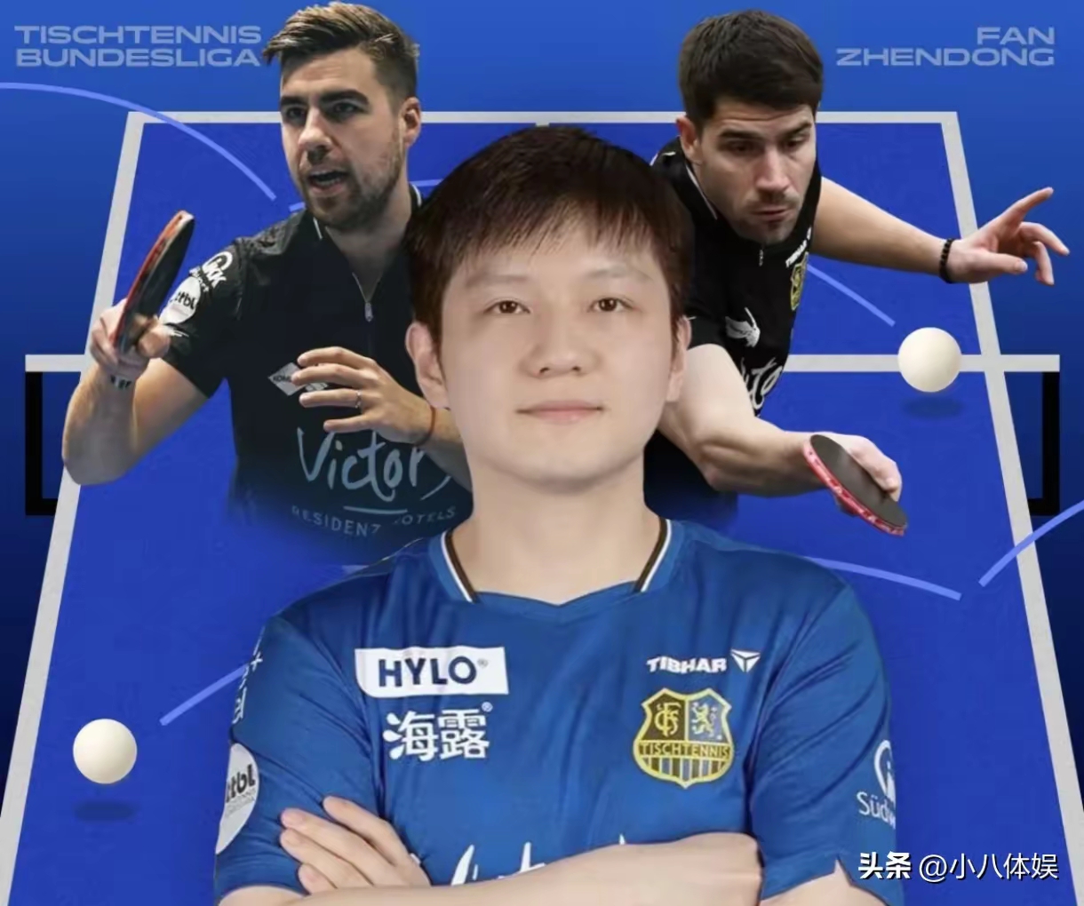 关于葡萄牙队险胜日本队,樊振东统治全场的信息 关于葡萄牙队险胜日本队,樊振东统治全场的信息