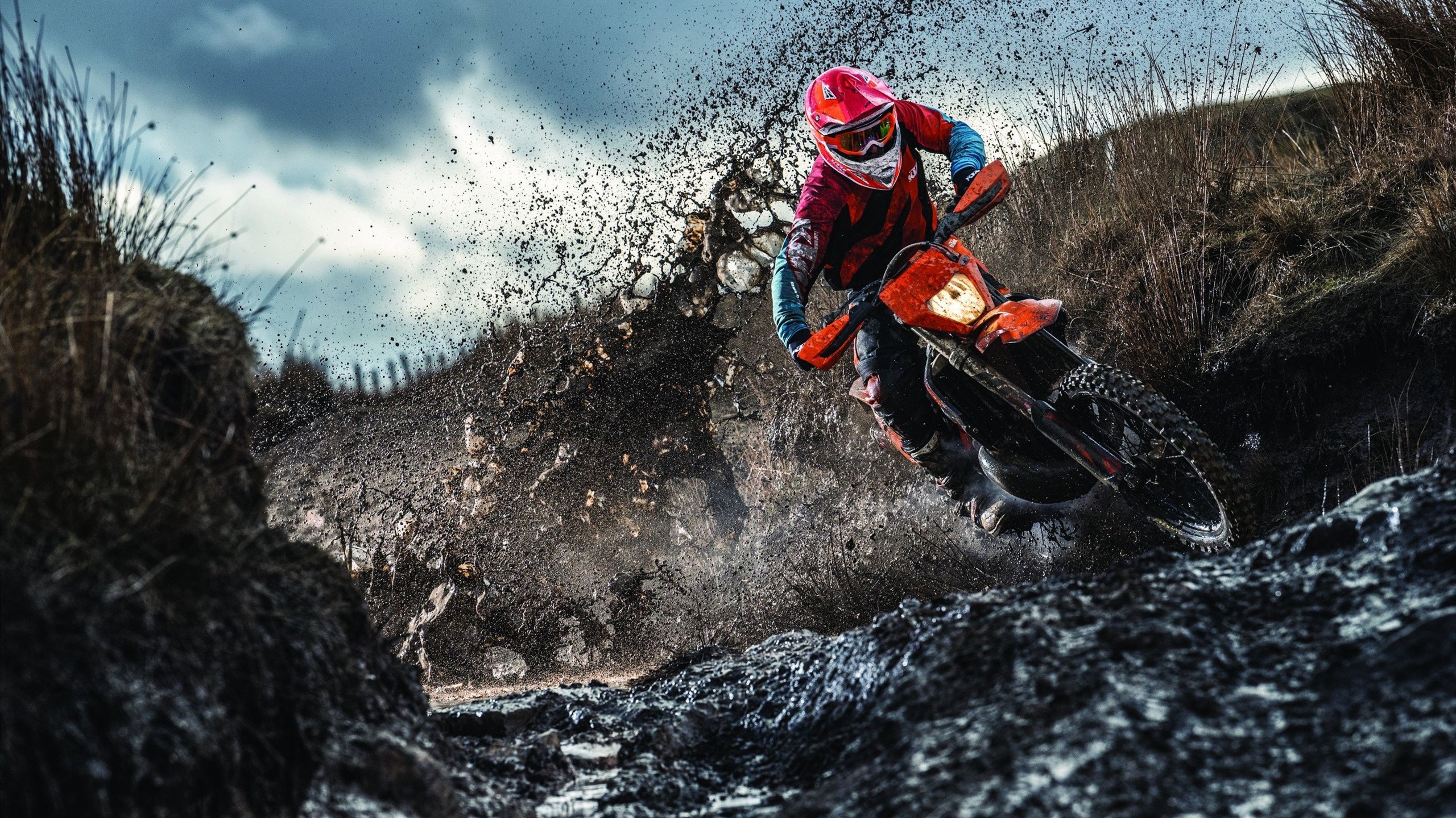 南粤烽火熄，金州神射起，双城记下的竞技唯一性