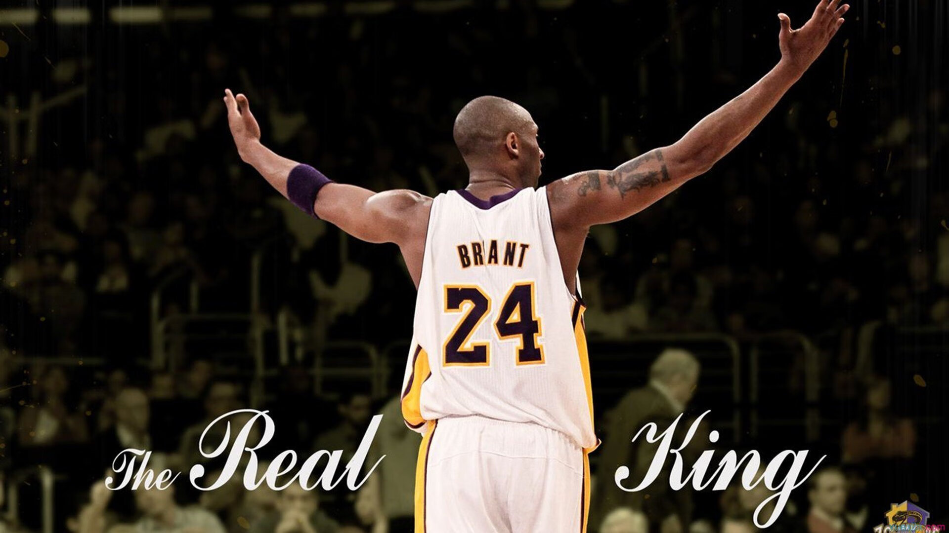 硬仗之王武切维奇率黄蜂轻取广厦,展唯一统治力